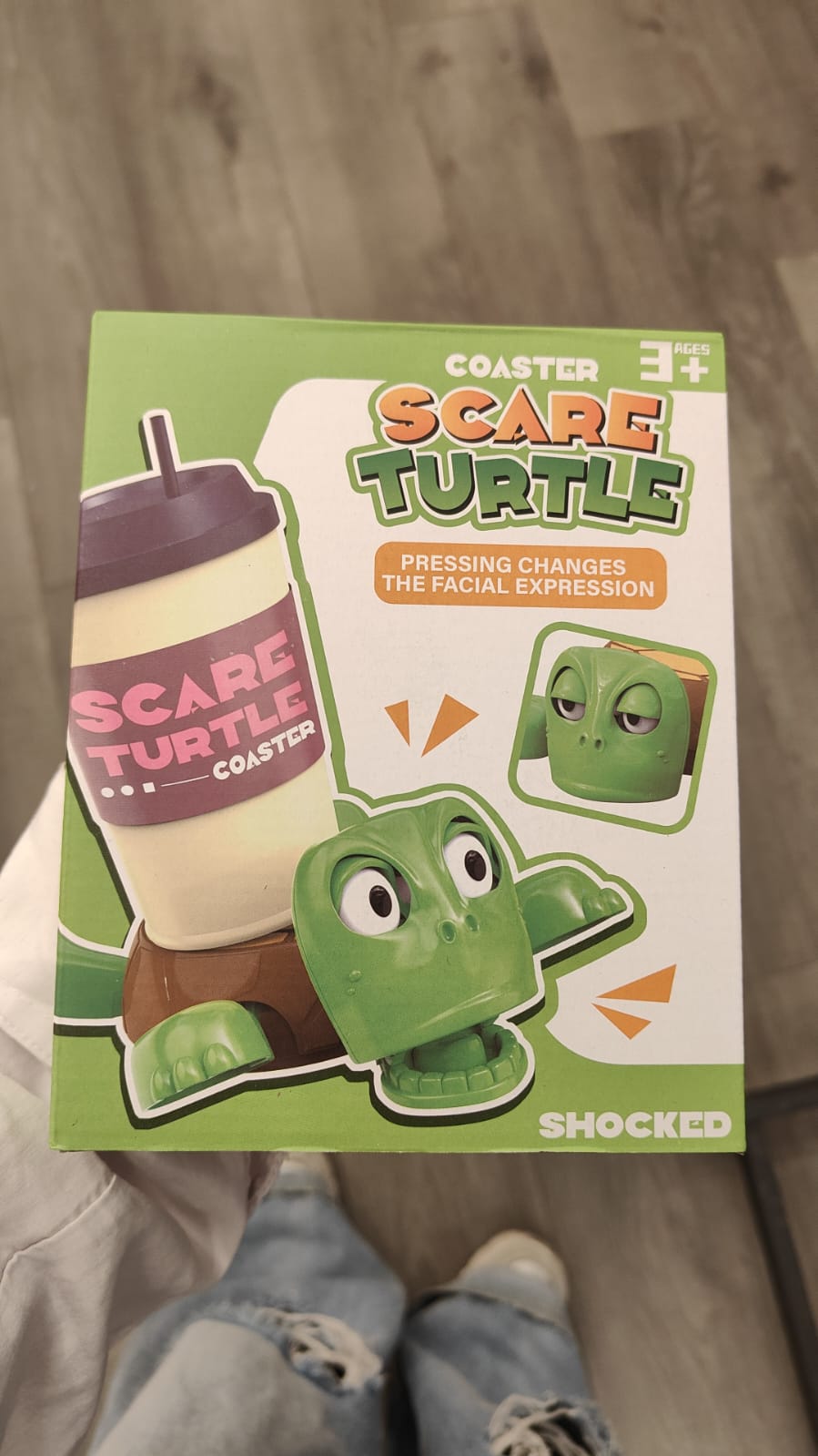 Turtle coaster