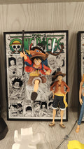 One Piece Framed Figure Display