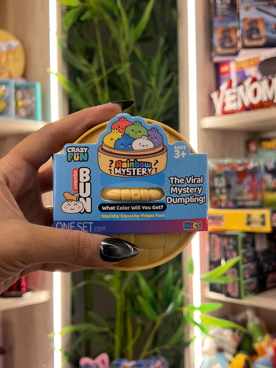 Large Boxed Squishy Toy