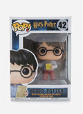 Harry Potter 42