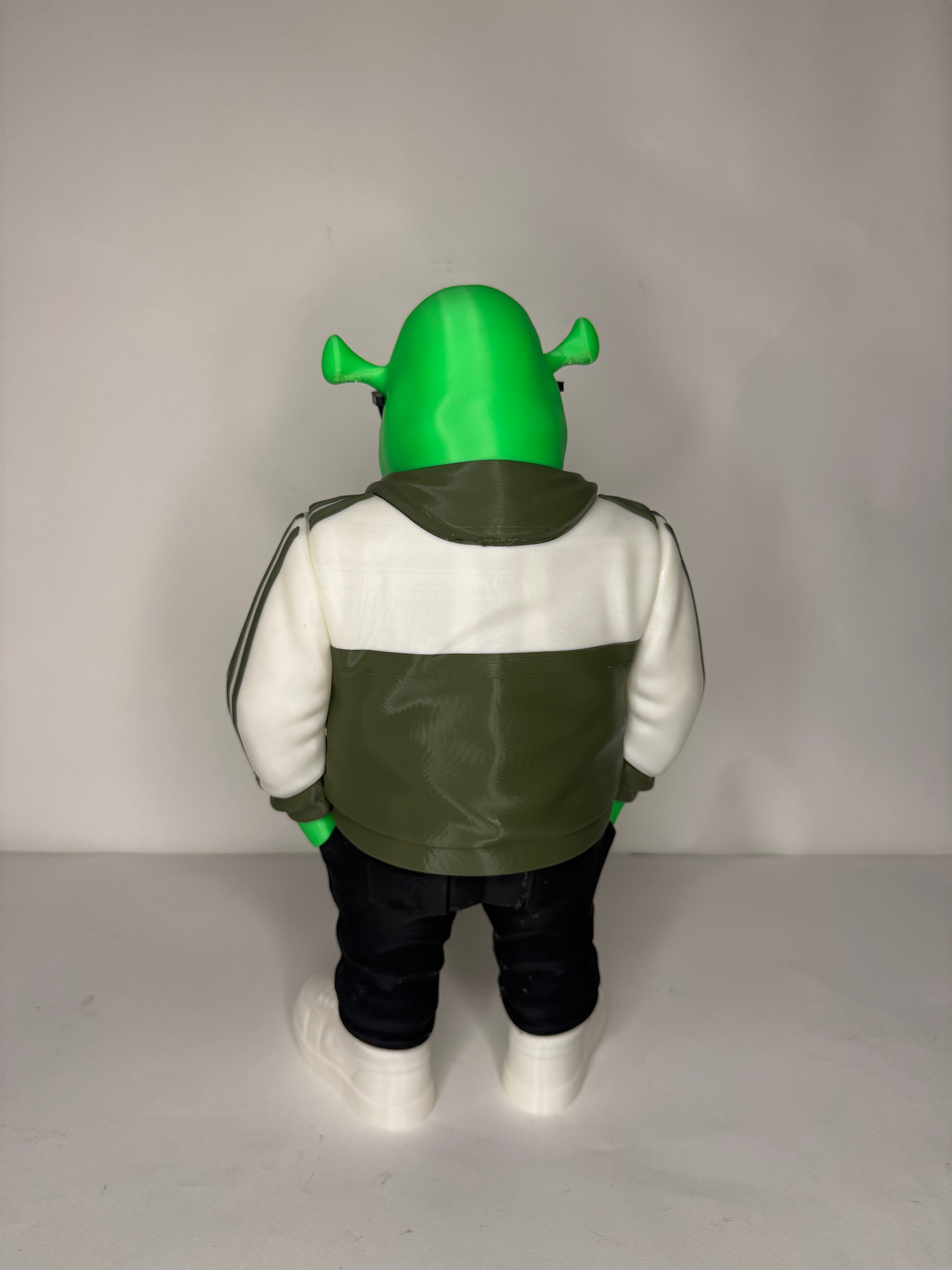 Shrek: Swamp Style-3D