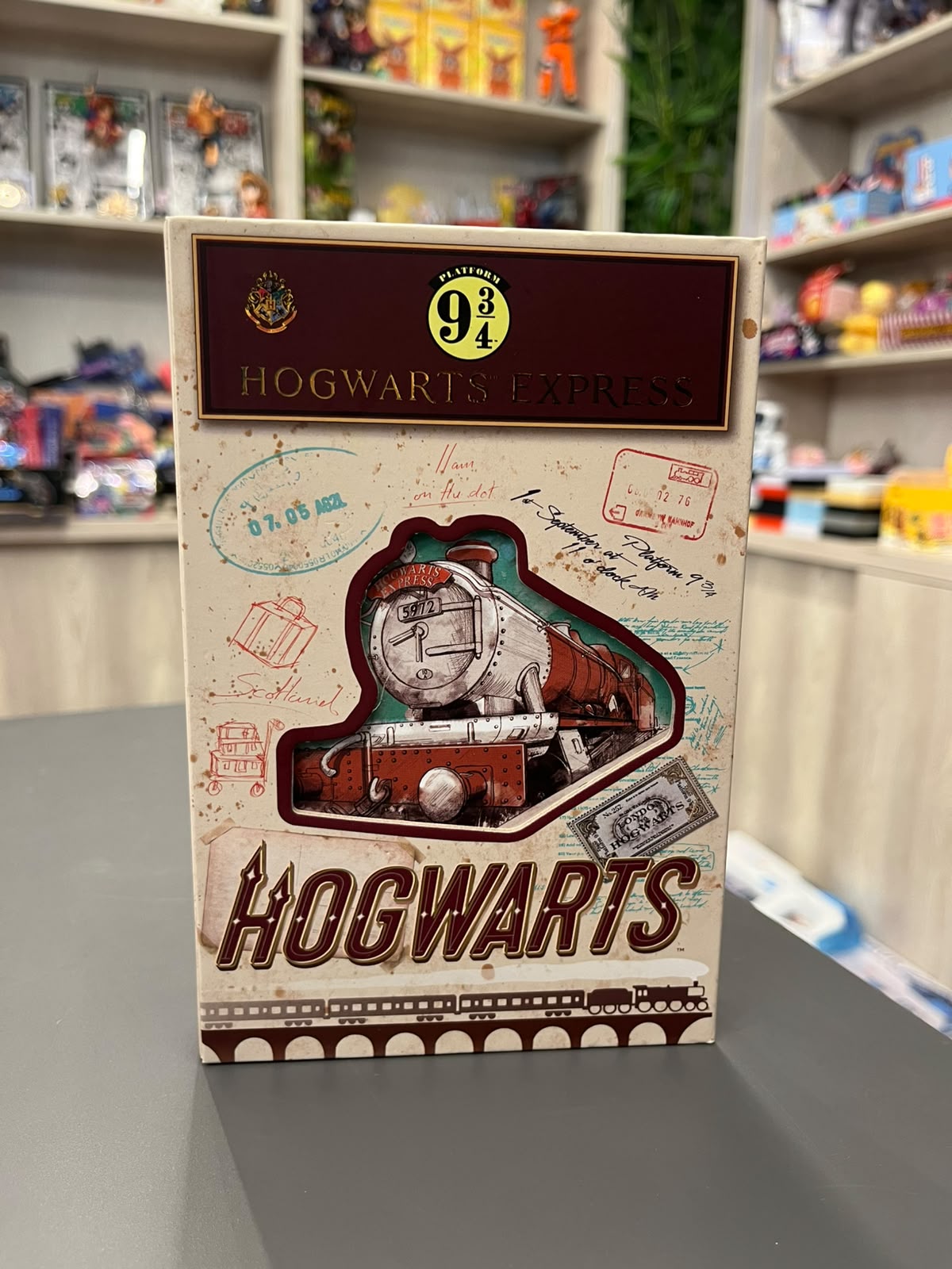 Hogwarts Express Platform 9¾ Journal