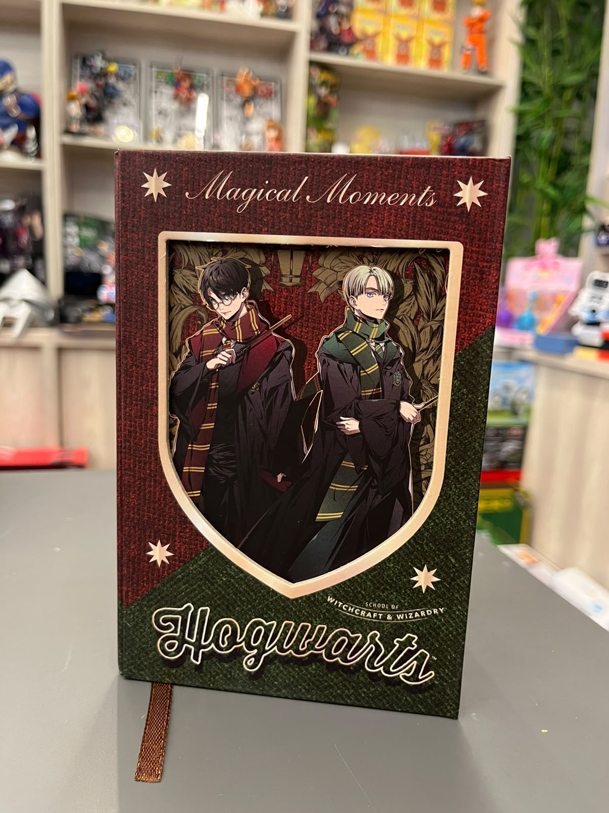 Harry Potter & Draco Malfoy Journal
